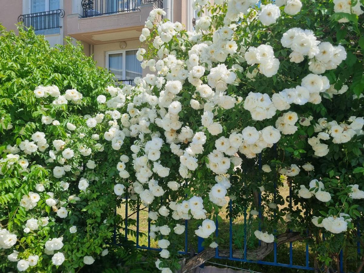 Studio Apartment With Balcony 300M From Beach Slăntjev Brjag Exteriör bild